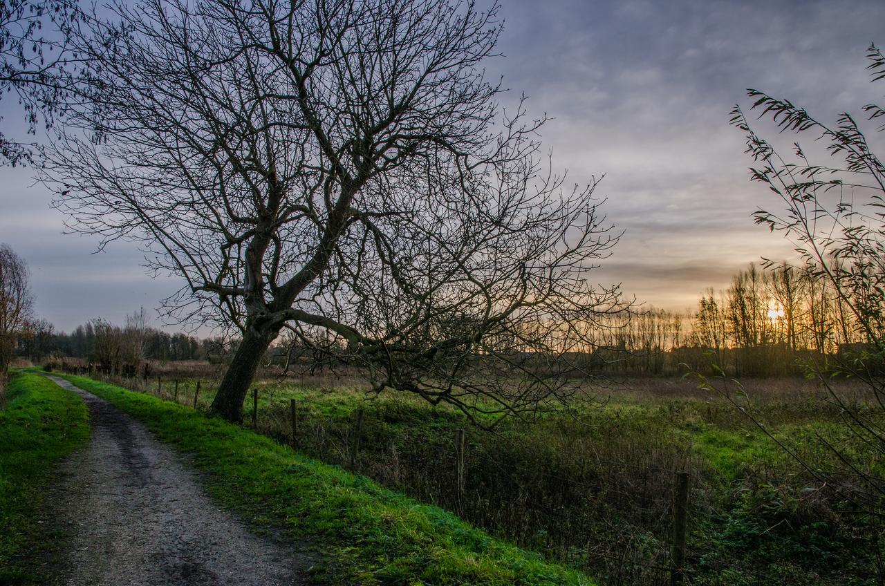 De Koolputten Waasmunster Bagian luar foto